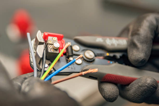 Best Electric Panel Repair  in Carbon Cliff, IL