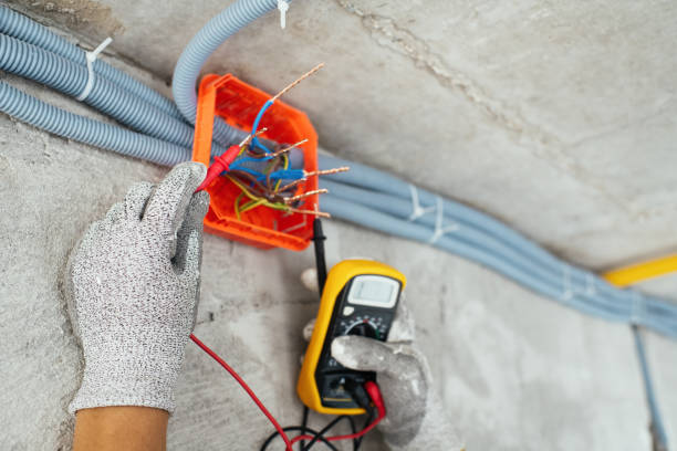 Best Licensed Electrician  in Carbon Cliff, IL